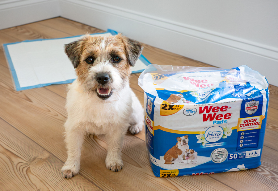 Dog with Wee-Wee pads