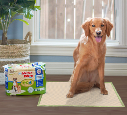 4puppypaws cheap