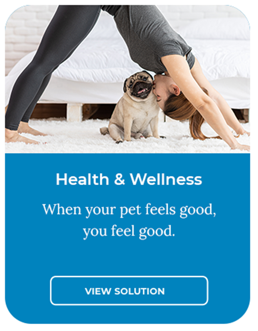 WEBSITE-FP-HP-SF-Mobile-361x462HW