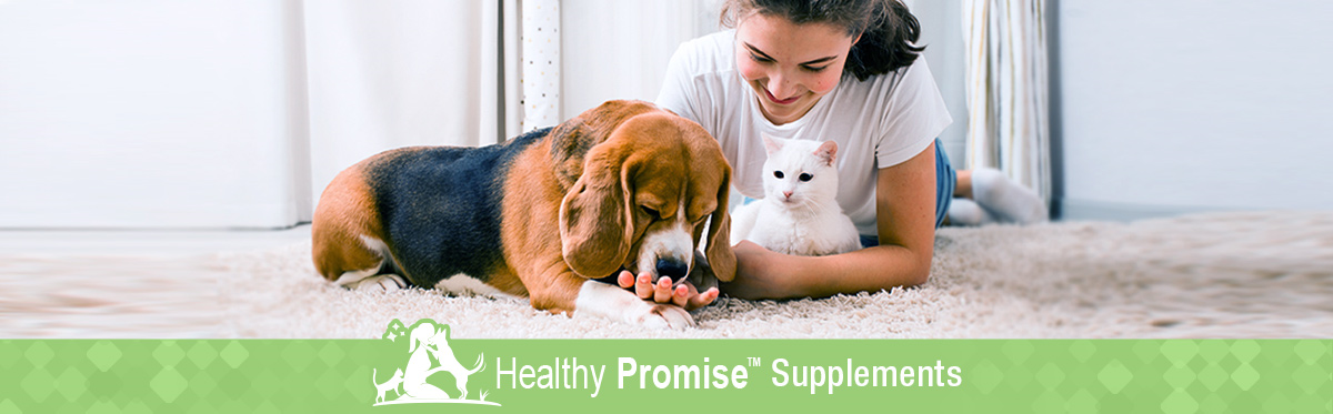 supp-hdr-desktop jpg