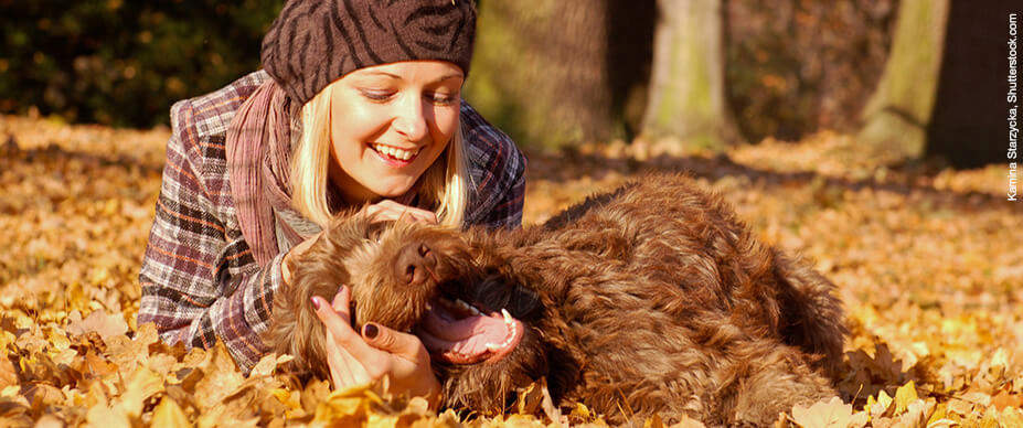 10-pet-friendly-fall-activities