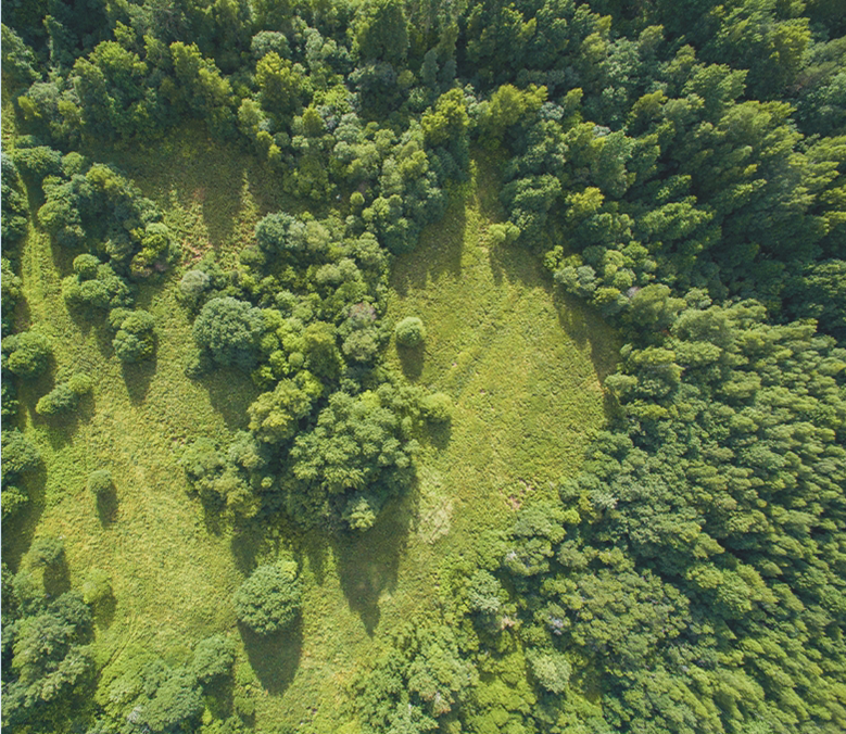 selecting material treets image