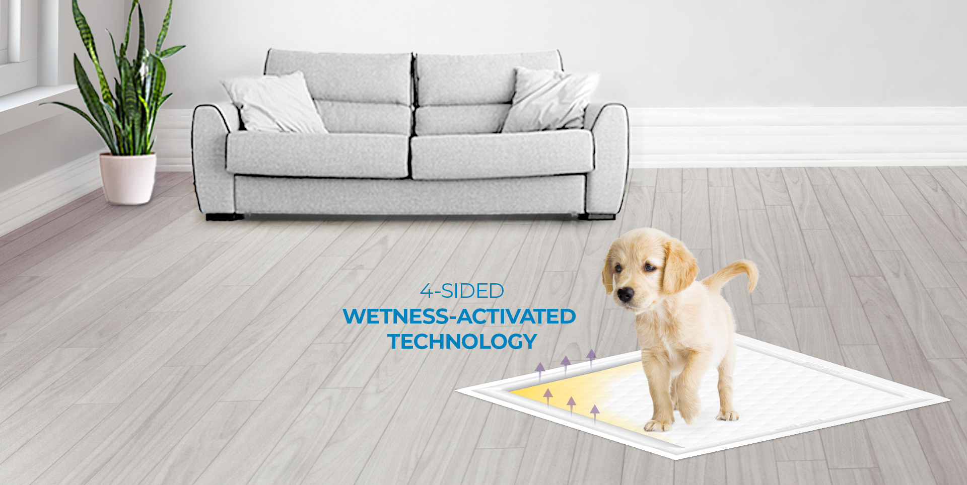 WEBLP-WWP-InstaRise-Hdr-D jpg