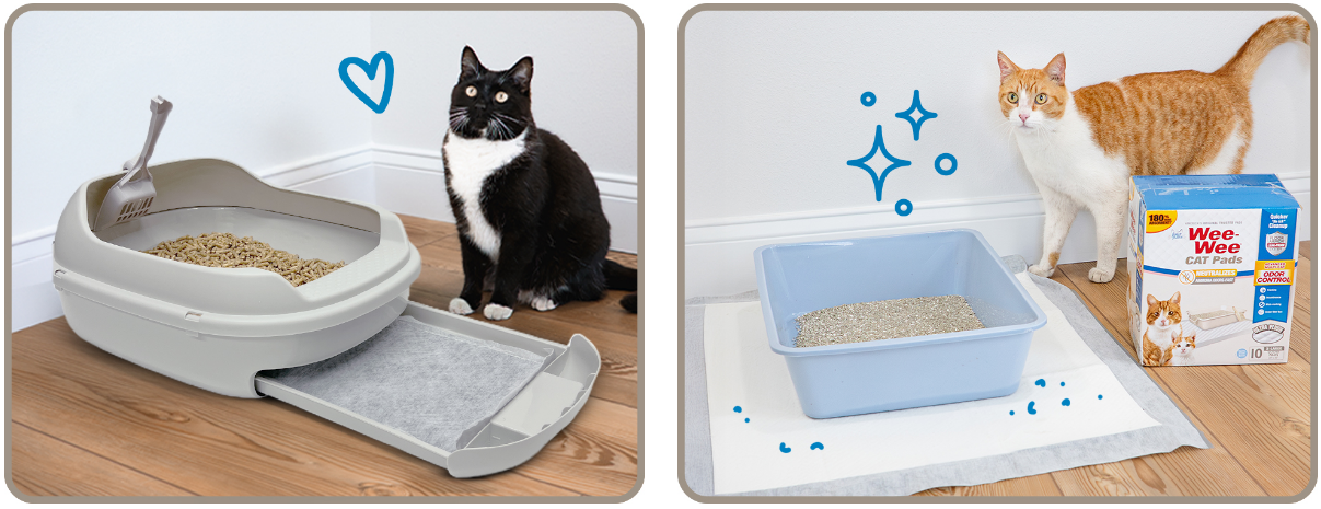 Screenshot 2025-08-21 124043