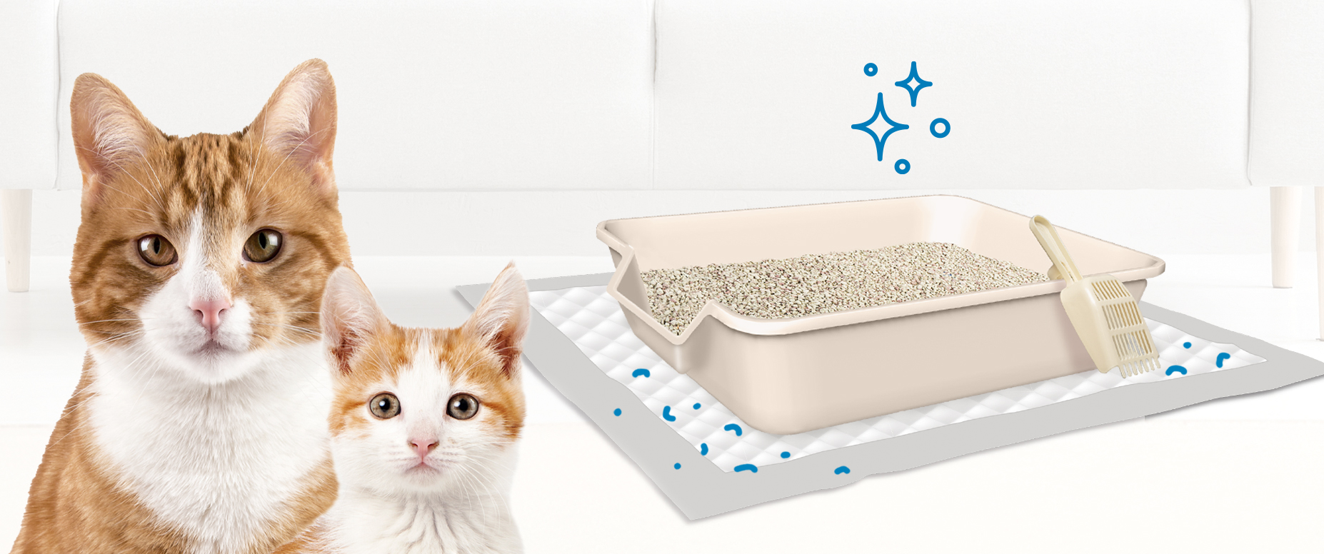wee-wee cat pads