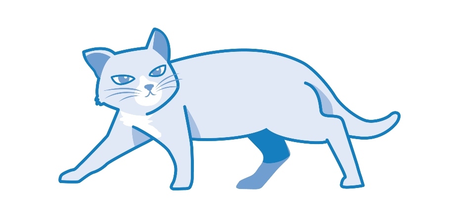Frustrated cat