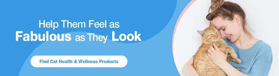 find cat health & wellness products