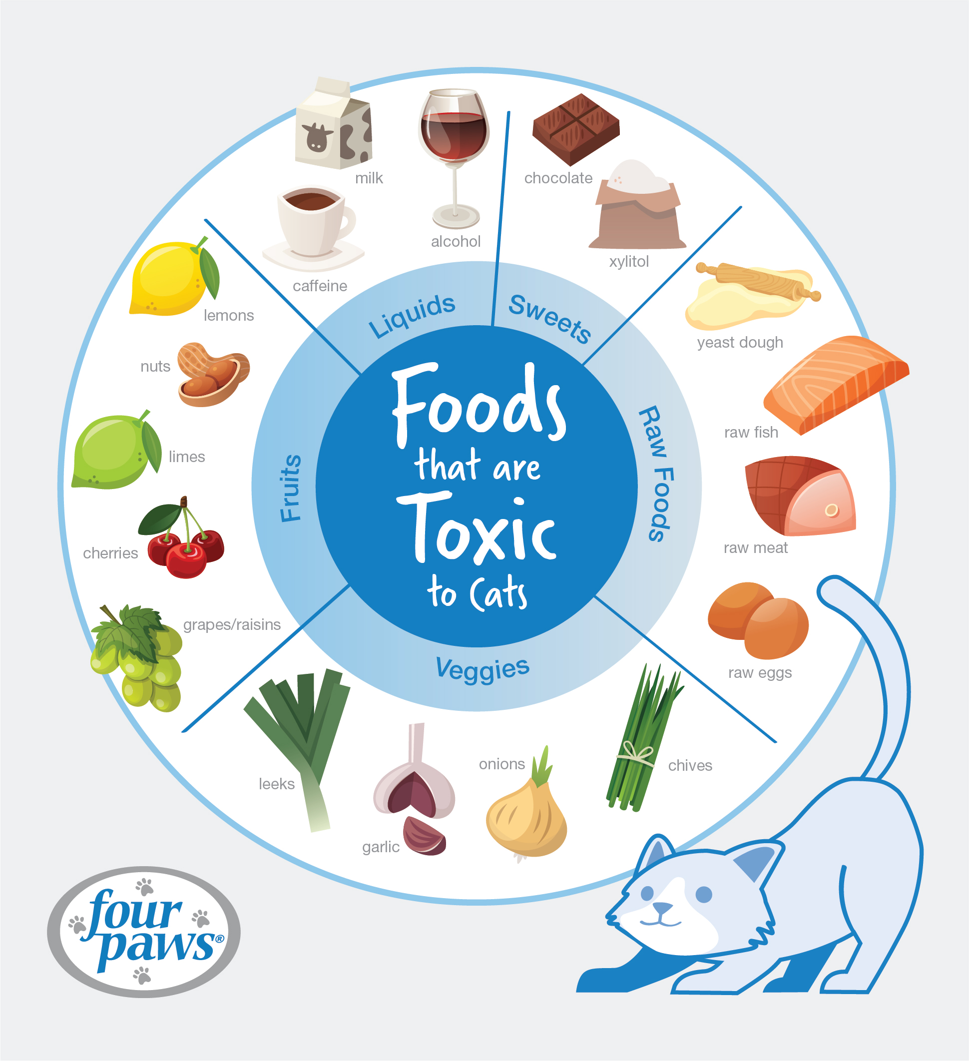 What Can t Cats Eat Infographic Four Paws