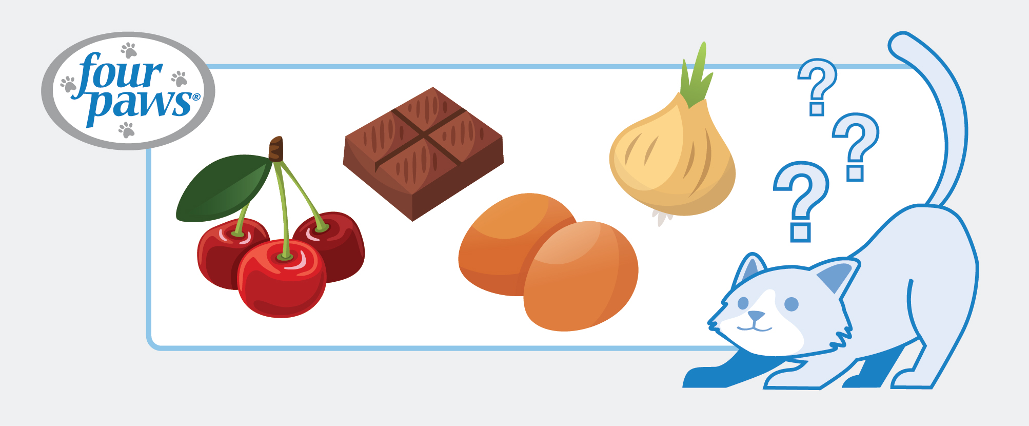 What Can’t Cats Eat? (Infographic) | Four Paws