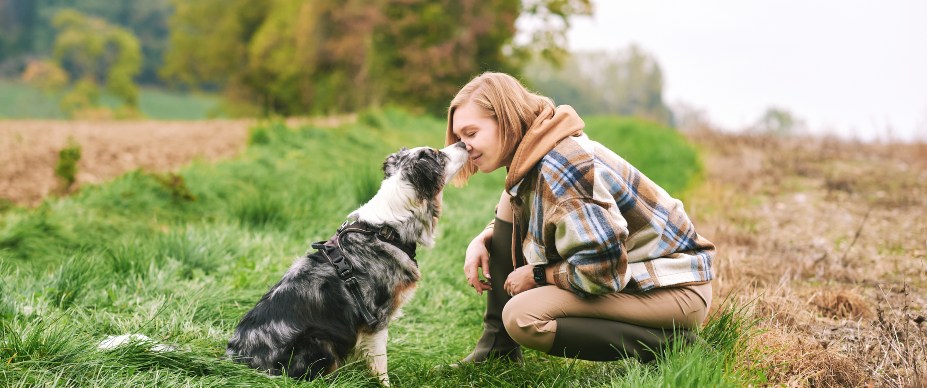 Dog and woman together outside on green grass