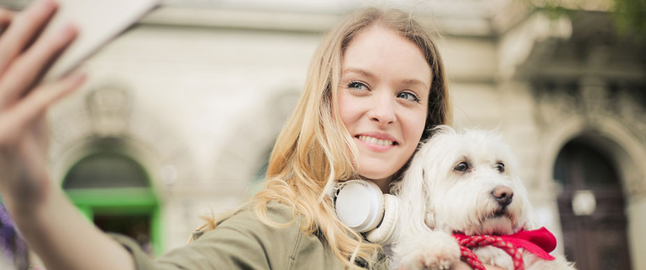  A person holding a white dog in one arm uses a smartphone to take a selfie with the dog using their other arm.