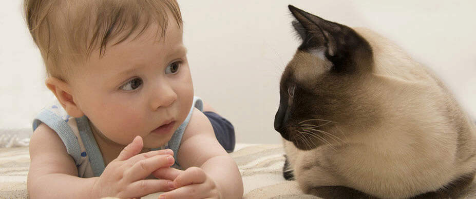 Baby and cat looking at each other