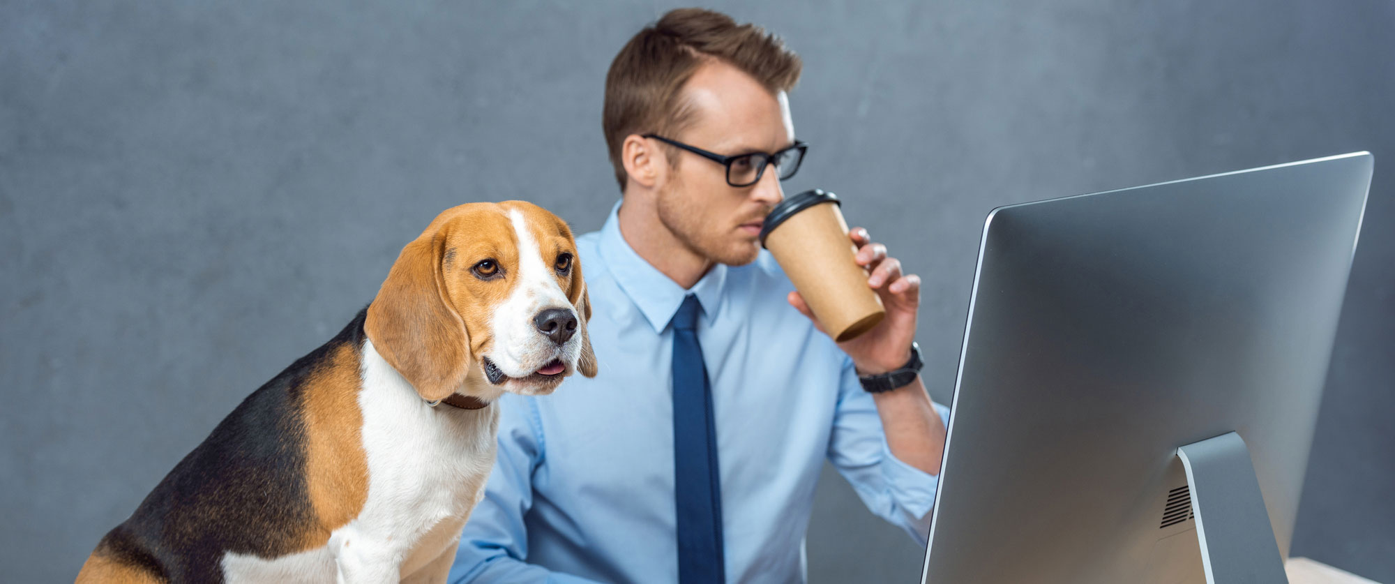 An individual in a blue collared shirt and tie drinks coffee while working on a computer at a desk, with a small puppy sitting on the desk next to them. 