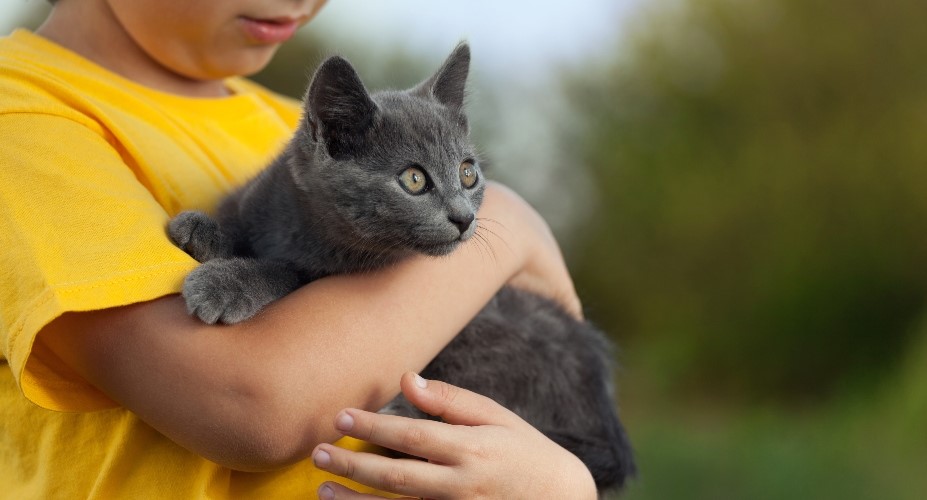 Cats and Kids: Tips for a Harmonious Household | Four Paws