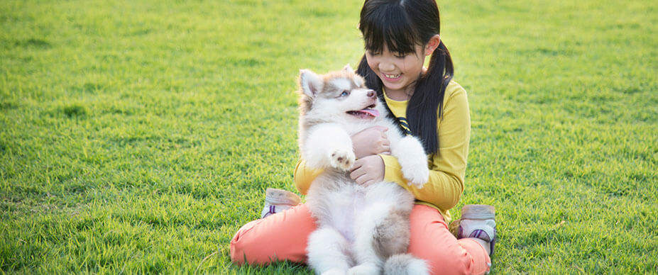 Introducing Your New Dog to Your Children