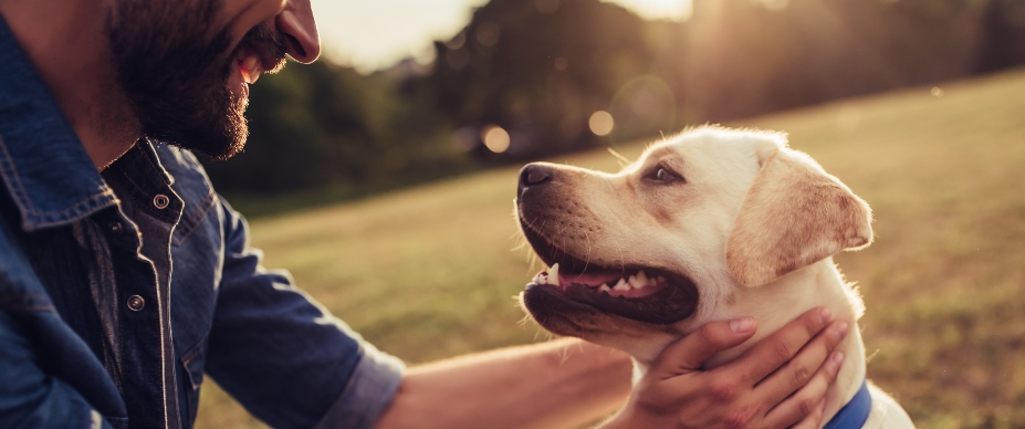 Dog and man