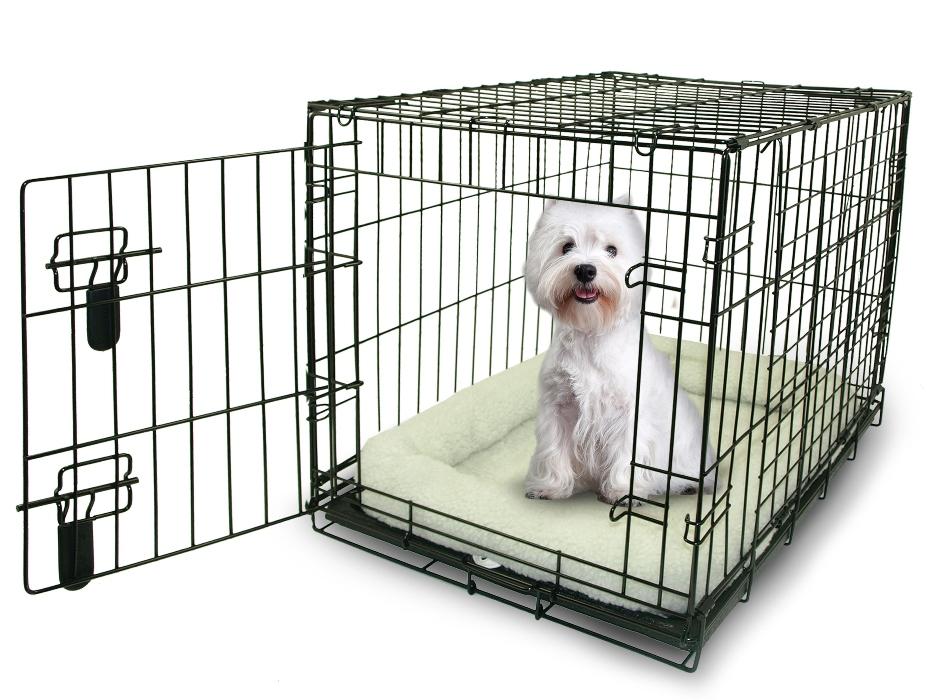 Dog Training Toy/Dog Training Aid, Dog Crate Toy Training Tool for