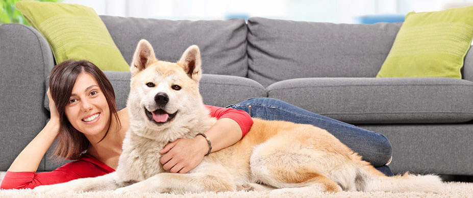 Woman and dog laying in front of couch looking at camera