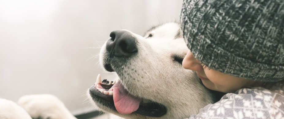 Woman hugging dog