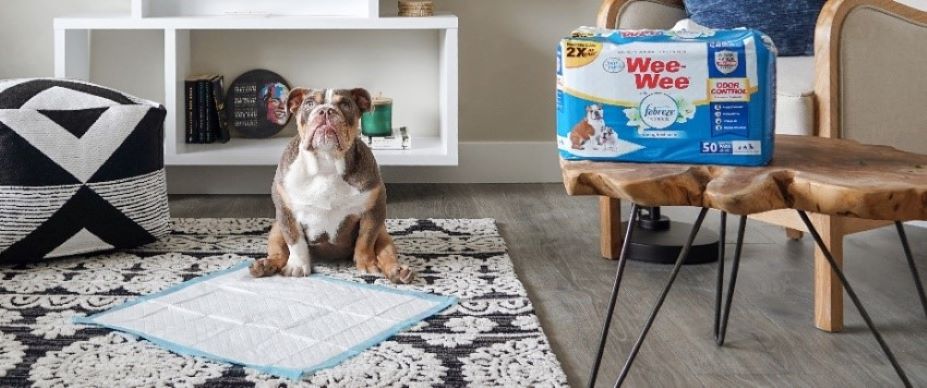 The 7 Best Dog Doormats To Keep Your Pup from Tracking Mud