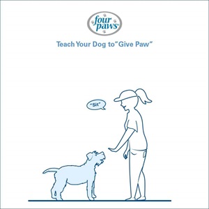 woman telling dog to sit