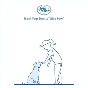 woman holding treat near sitting dog’s nose 