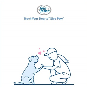 woman high fiving dog with hearts between them 