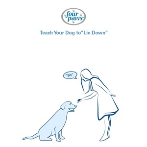 girl telling dog to sit 