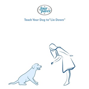 dog sitting while girl holds out treat 