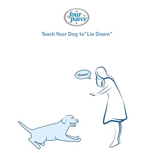 girl saying down command to dog 