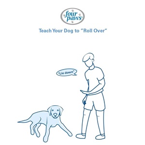 man telling dog to lie down 