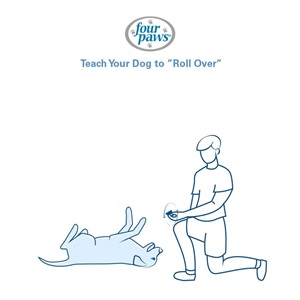  man prompting dog to roll over with treat 