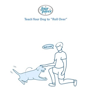 man saying roll over command and petting dog 