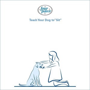girl patting dog’s head while feeding treat