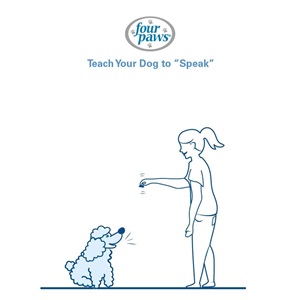 woman moving treat in front of dog 