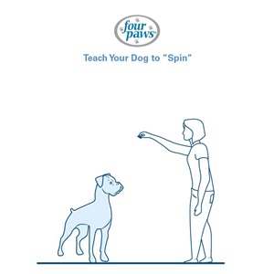 woman holding treat high above dog’s head 