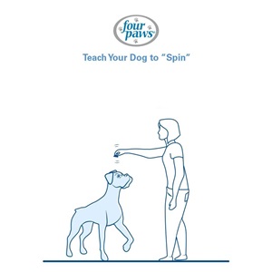 woman holding treat above dog’s head