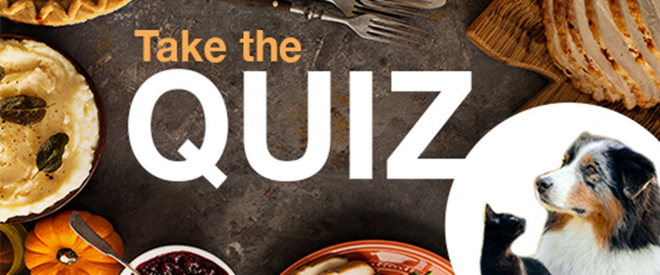 dog-person-vs-cat-person-quiz-thanksgiving-edition
