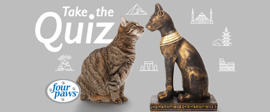 Quiz: Famous Cats Trivia Challenge