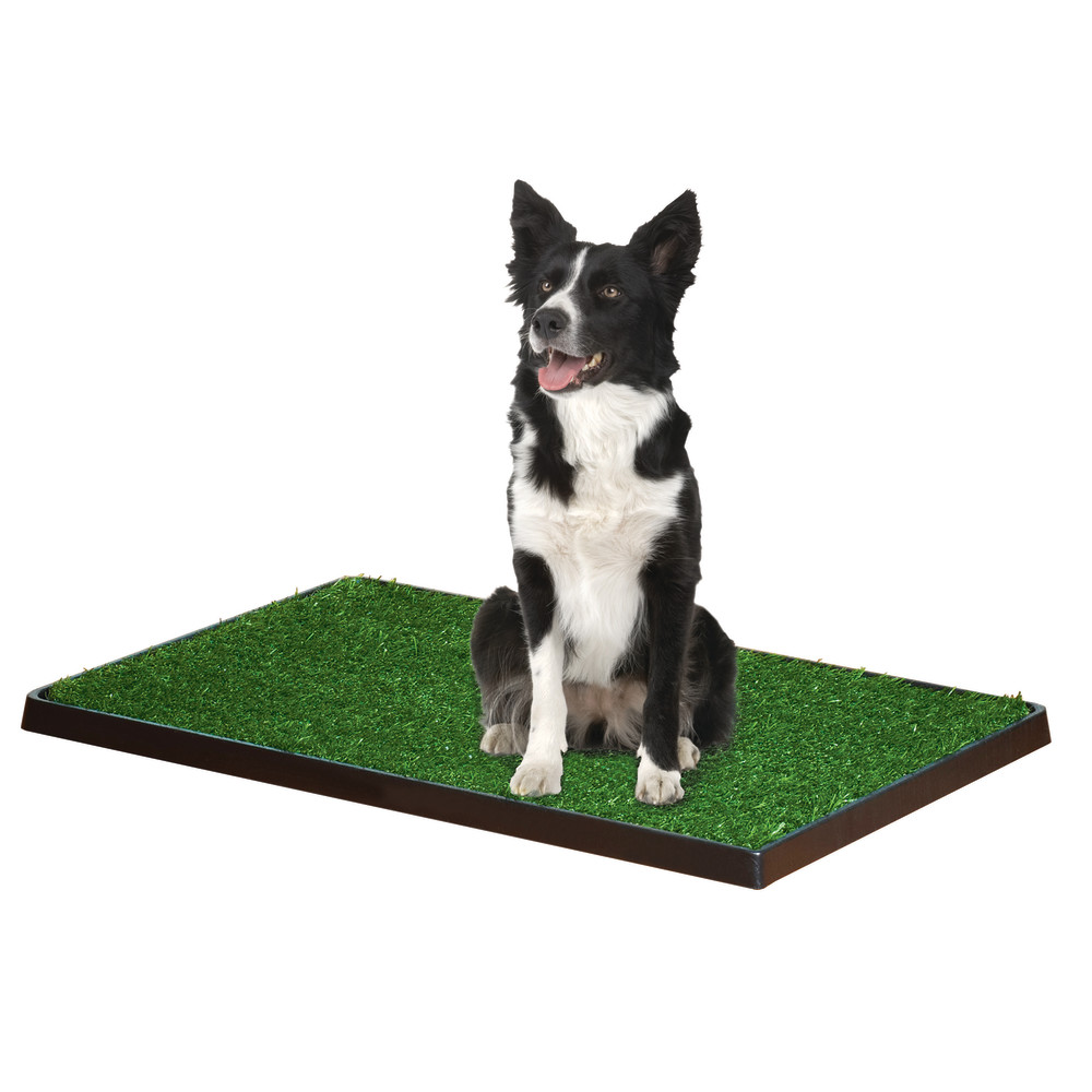 045663158309-four-paws-wee-wee-patch-30inx20in-3ea-four-paws-lifestyle