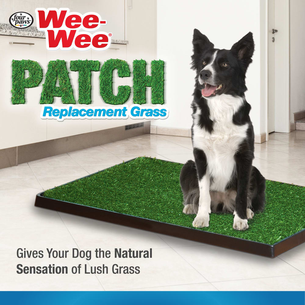 045663158538-four-paws-four-paws-wee-wee-dog-grass-replacement-medium-20-x-30-inches-lifestyle
