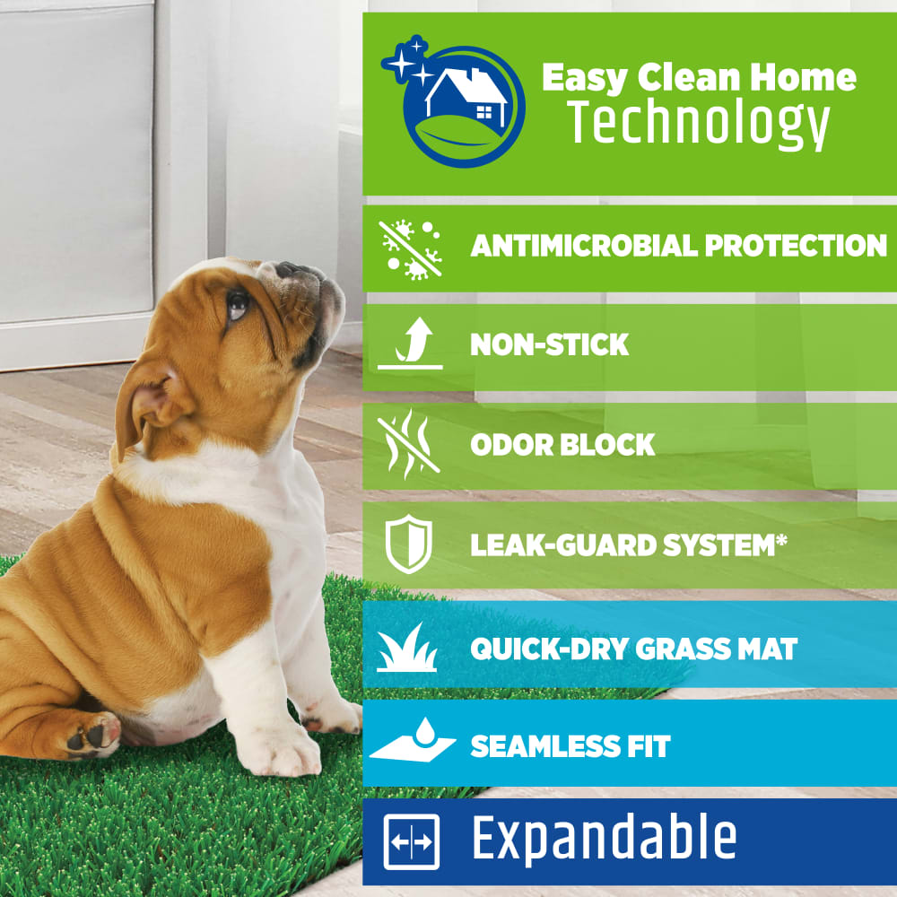 045663974787-four-paws-wee-wee-premium-patch-pet-potty-informationalimage