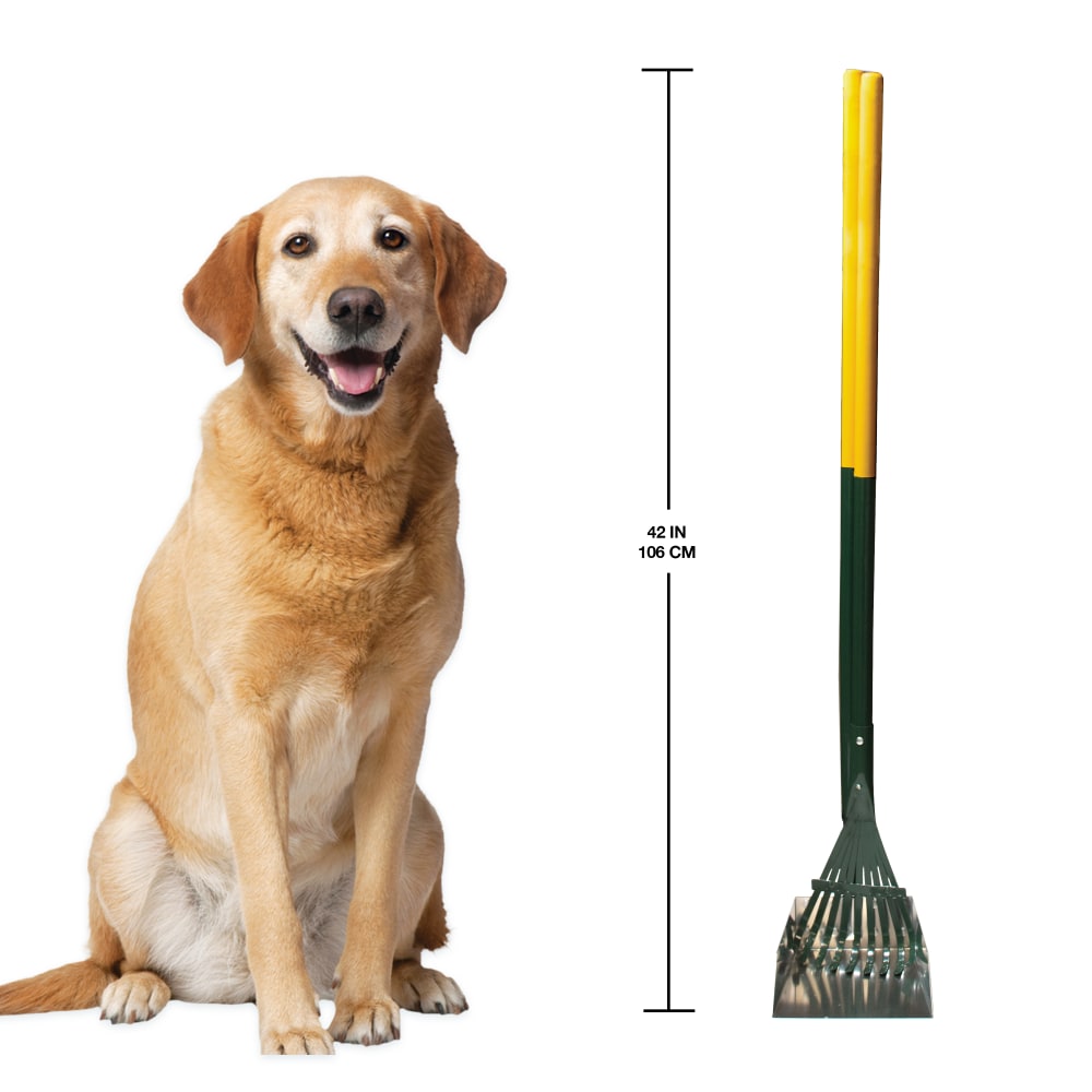 045663182434-four-paws-rake-set-informationalimages3