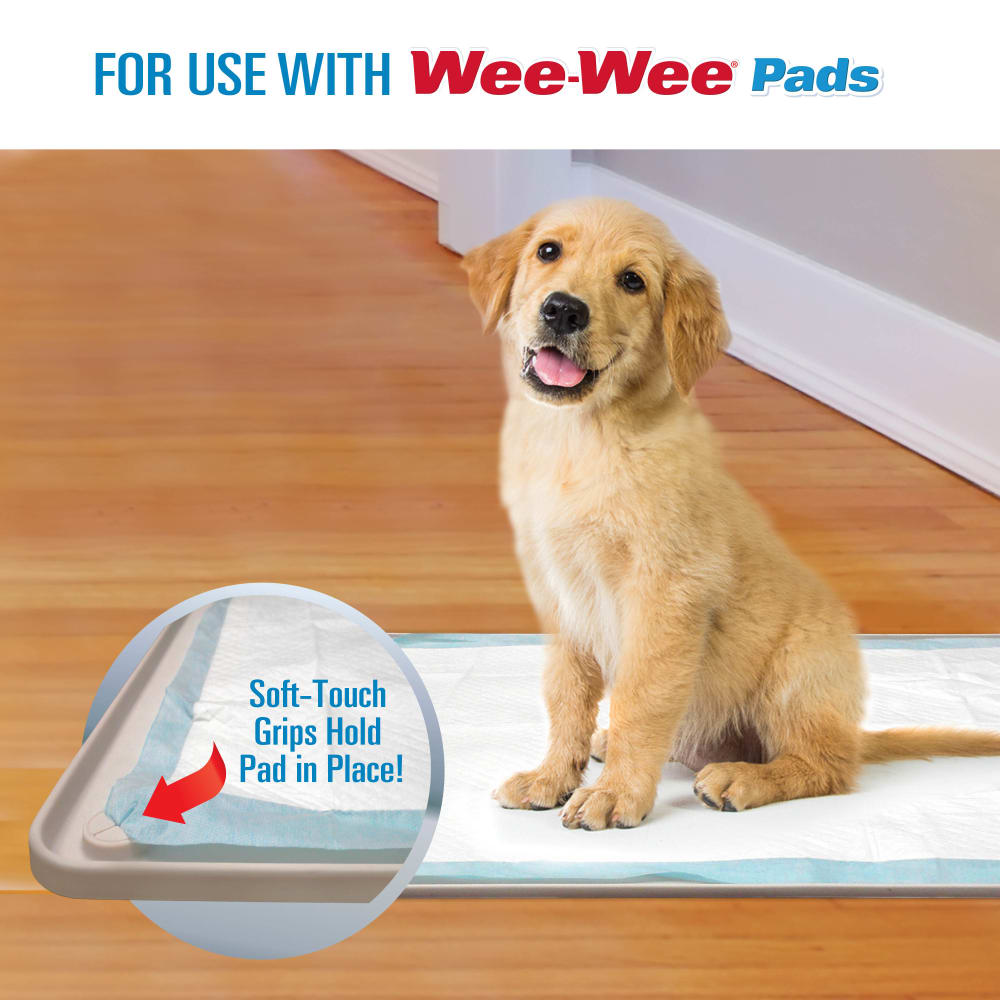 045663970000-four-paws-wee-wee-silicone-dog-housebreaking-pad-holder-lifestyle