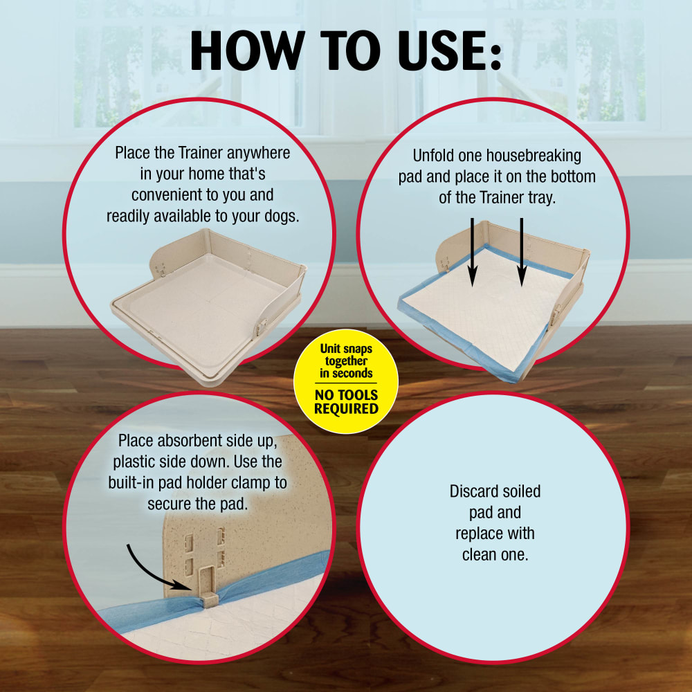 045663970475-four-paws-wee-wee-pad-on-target-trainer-dog-and-puppy-training-tray-directions