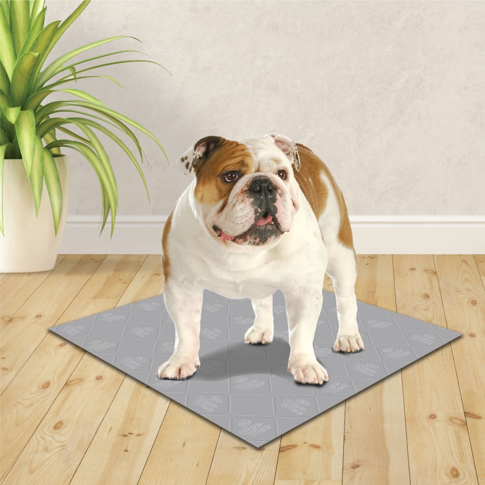 045663974831-four-paws-wee-wee-premium-patch-washable-pad-lifestyle
