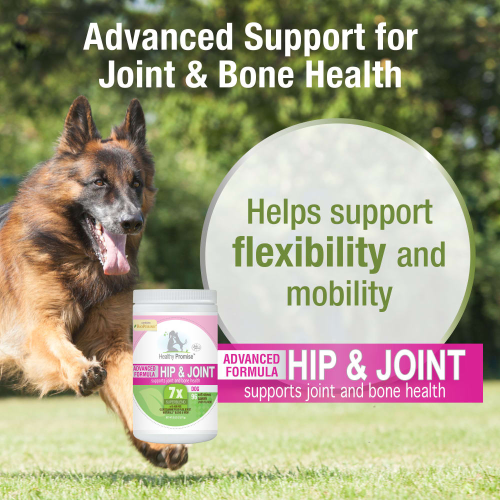 045663975364-fourpaws-healthypromise-dog-advancehipjointsoftchews-96ct-new-features-benefits