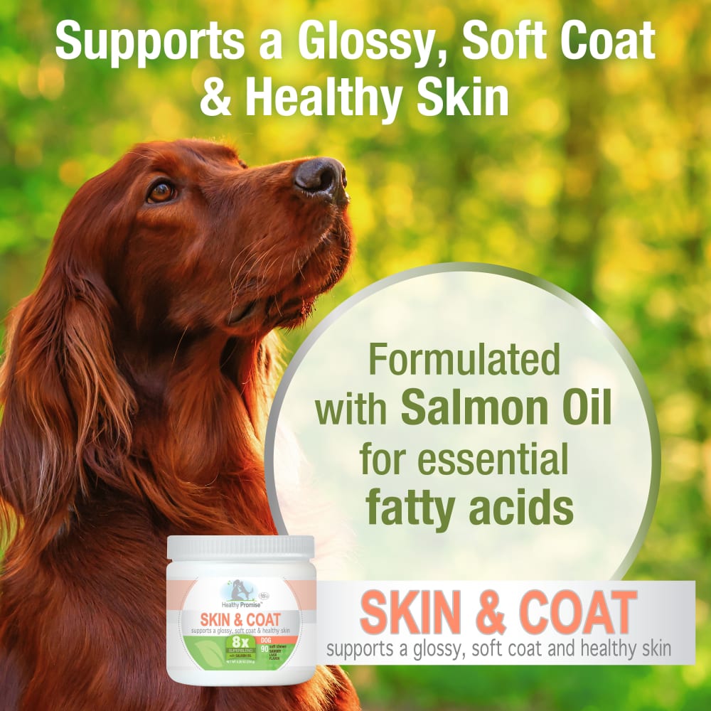 045663975371-fourpaws-healthypromise-dog-skincoatsoftchews-90ct-new-features-benefits