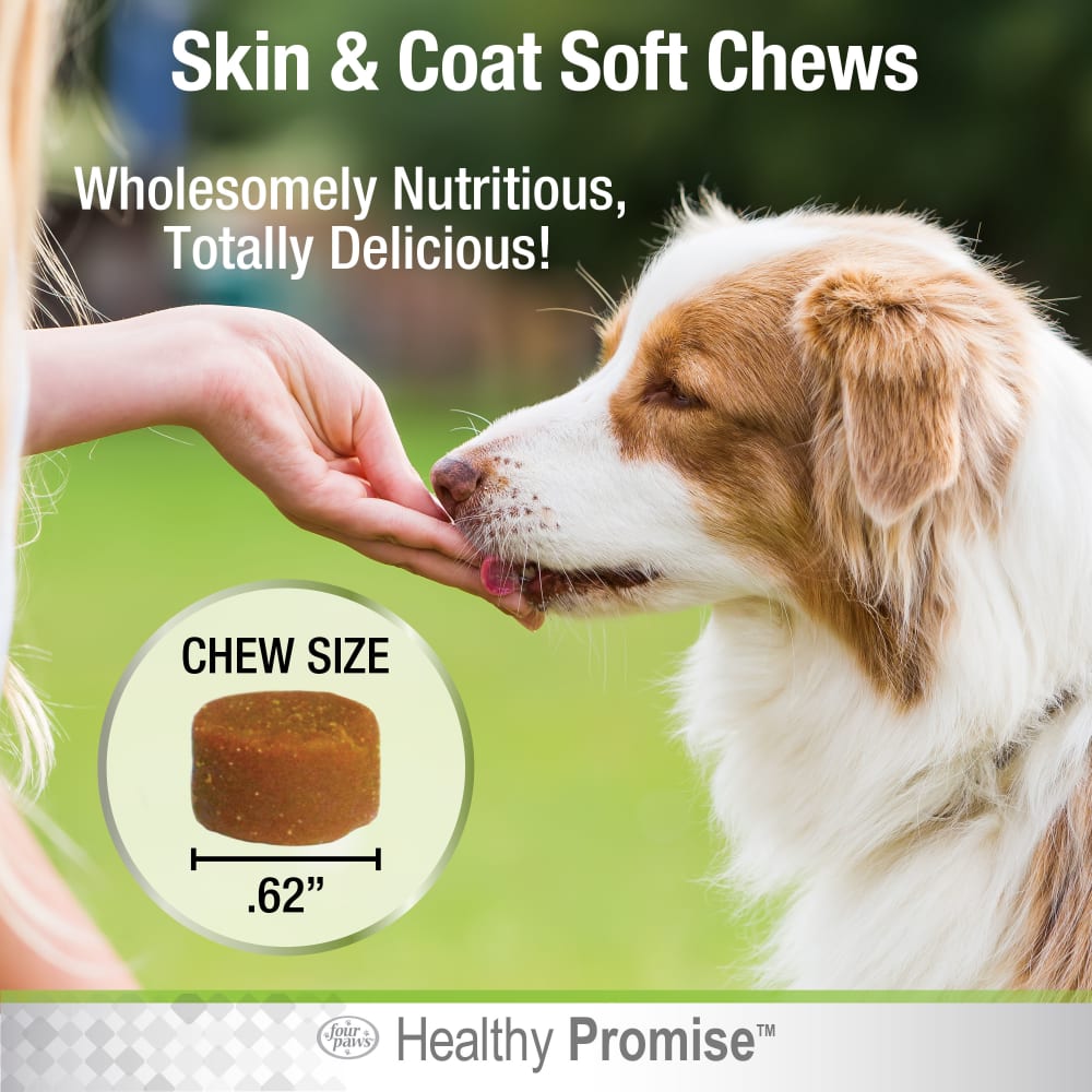 045663975371-fourpaws-healthypromise-dog-skincoatsoftchews-90ct-new-lifestyle