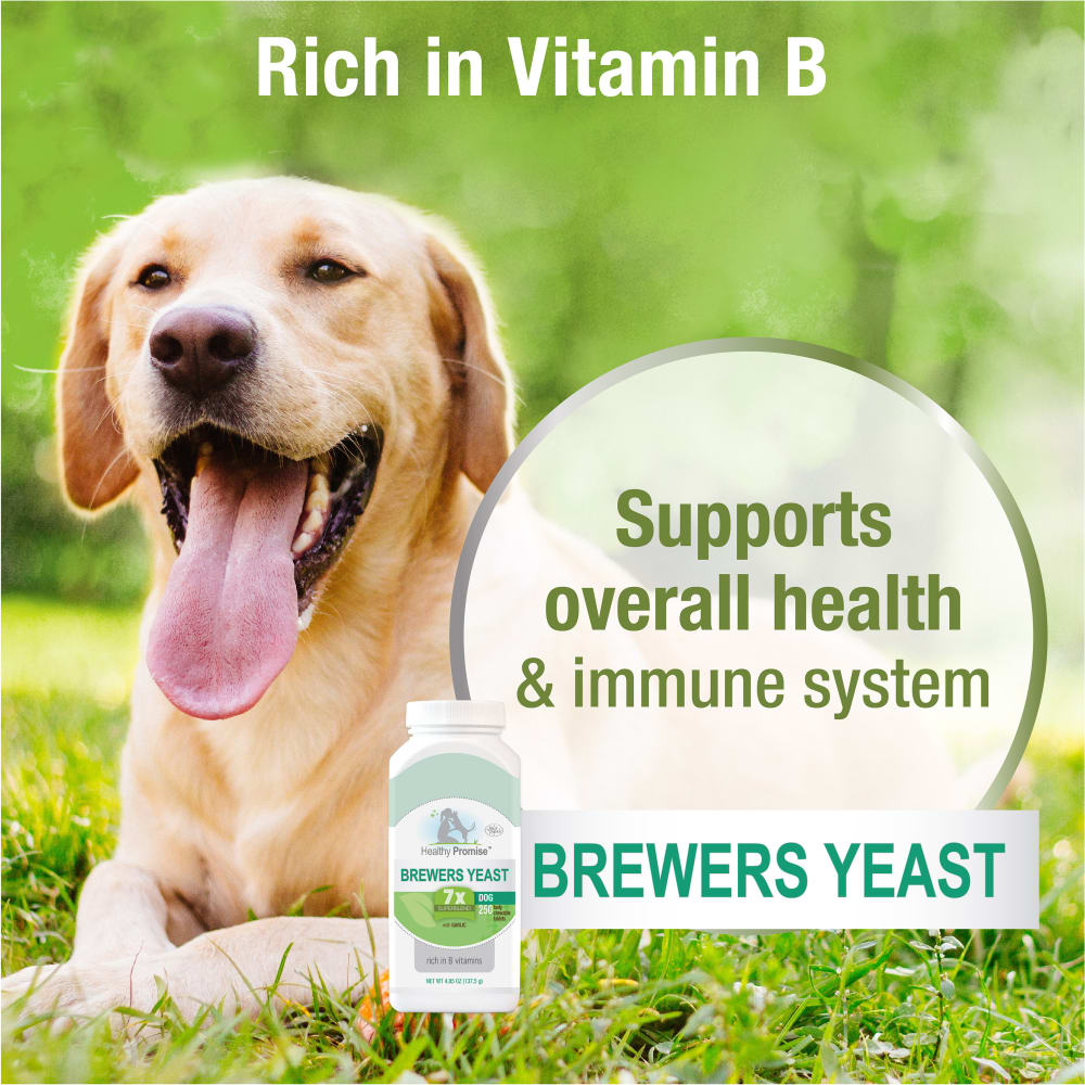045663975388-fourpaws-healthypromise-dog-brewersyeasttablets-250ct-feartures-benefits